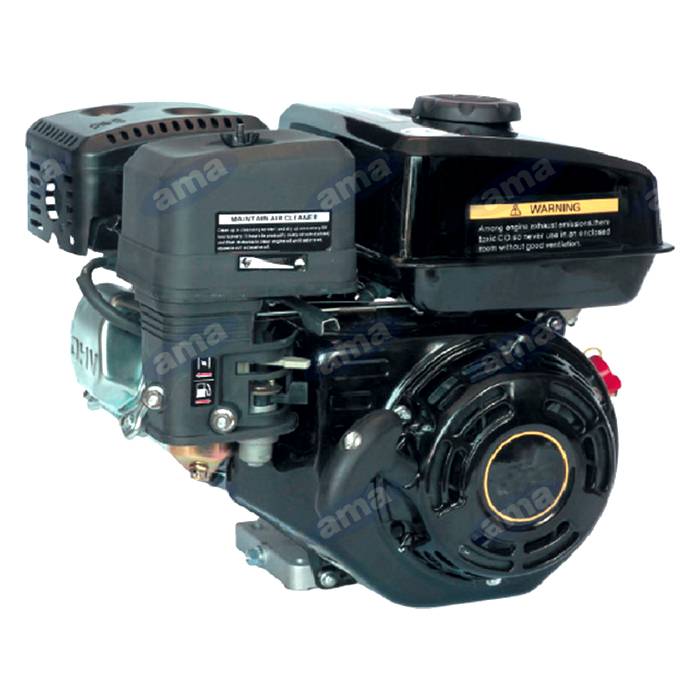 Obrázek k výrobku 55054 - Motor horizontální 13 hP, typ vývodu I